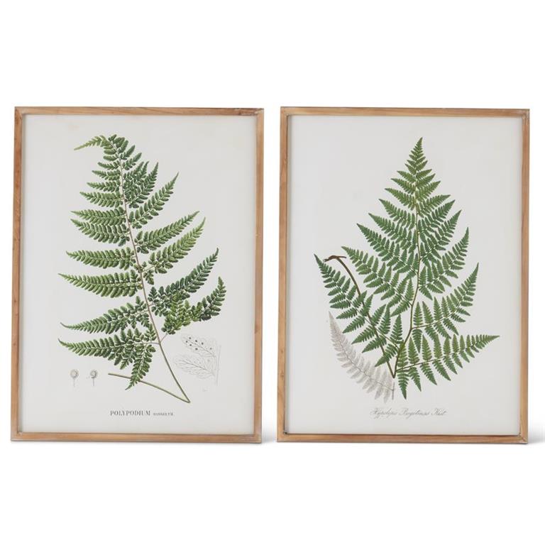 Green Fern Leaf Print w/Wood Frame (2 Styles)