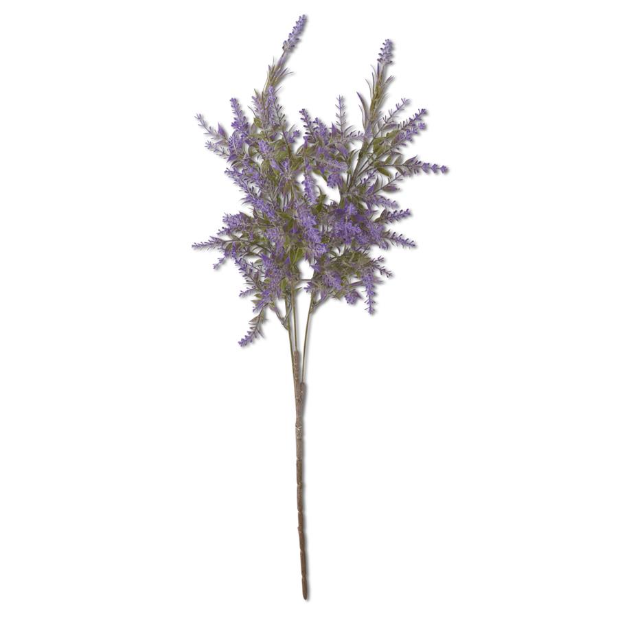 Purple Lavender Stem