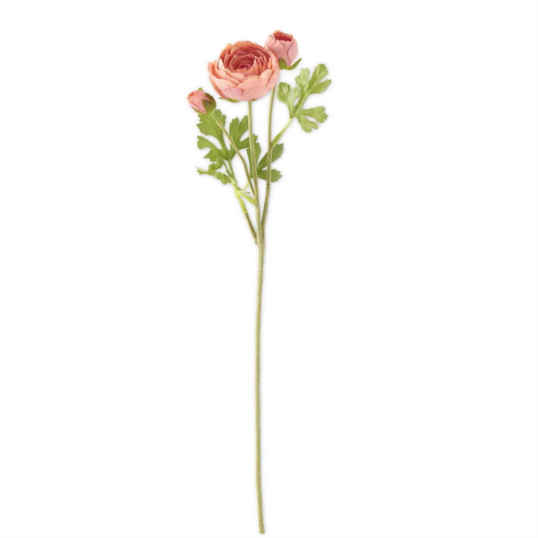 Coral Real Touch 3 Head Ranunculus Stem - 21