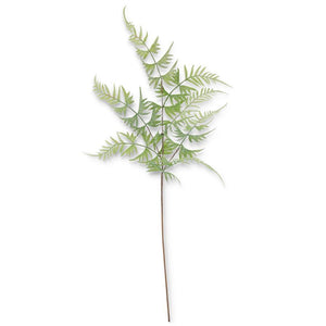 Real Touch Parsley Fern Spray - 31"