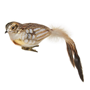 7" Clip-on Feathered Tail Bird Ornament