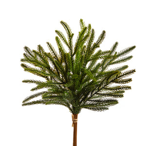 Balsam Fir Bundle 18"