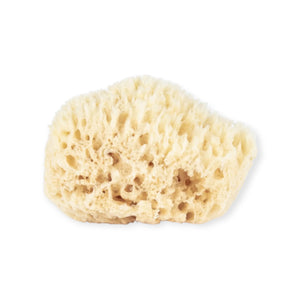 Bath Sea Sponge