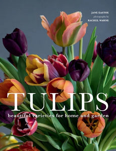 Tulips: Beautiful Varieties