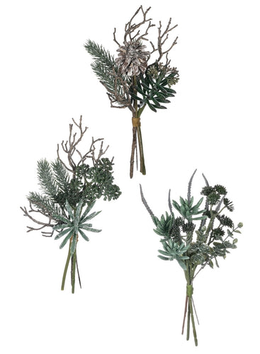Succulent Bundles Assorted
