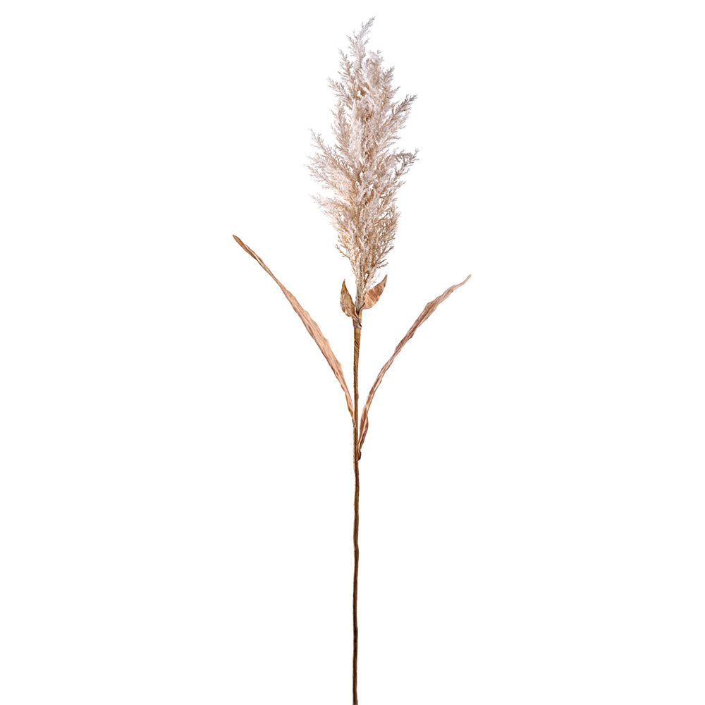 Plum Grass Spray