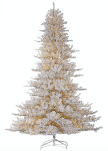 White Noble Tree With 5000 Rice Lights