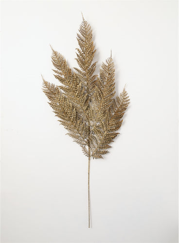 Metallic Fern spray